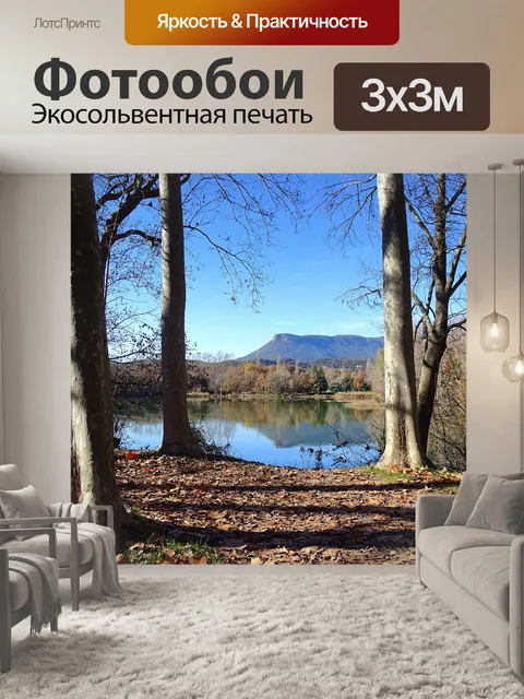 Фотообои Деревья