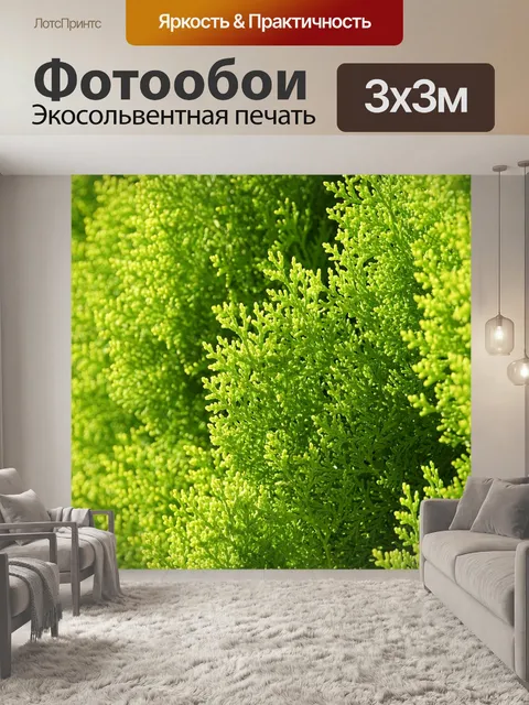 Фотообои Деревья