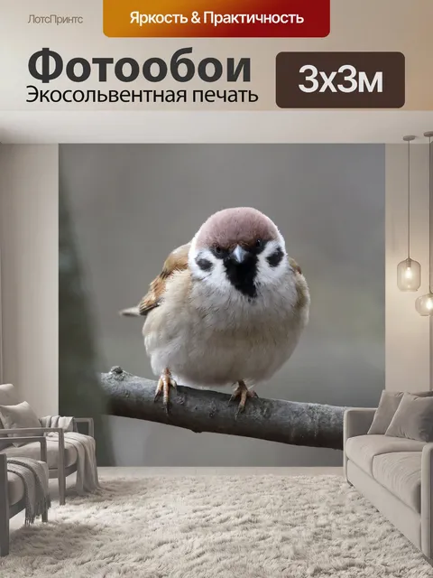 Фотообои Воробей