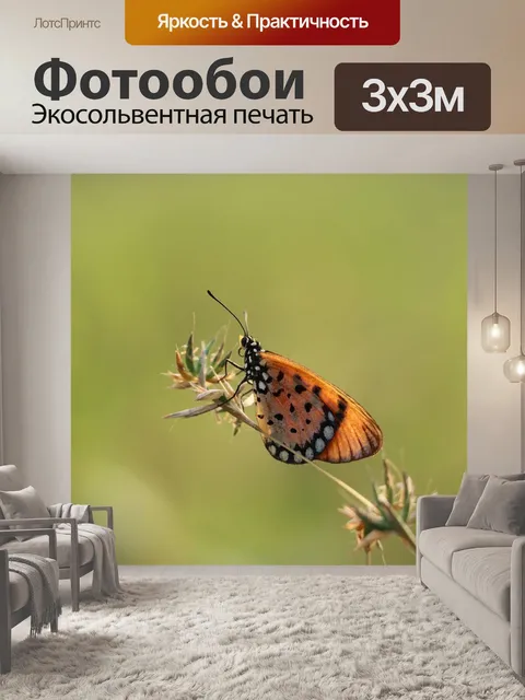 Фотообои Бабочки