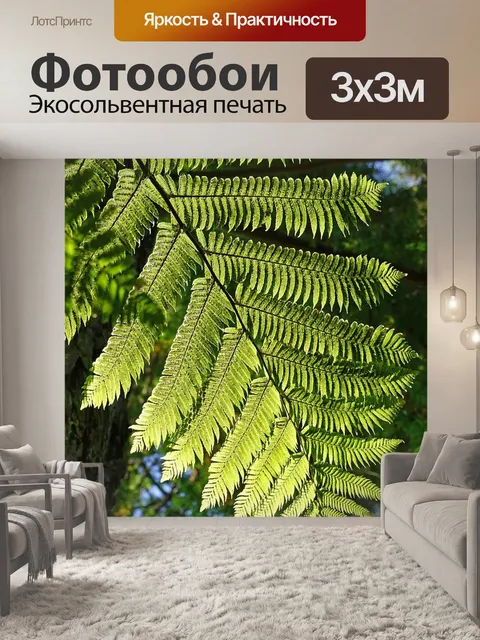 Фотообои Папоротник
