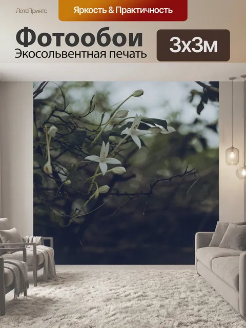 Фотообои Цветок