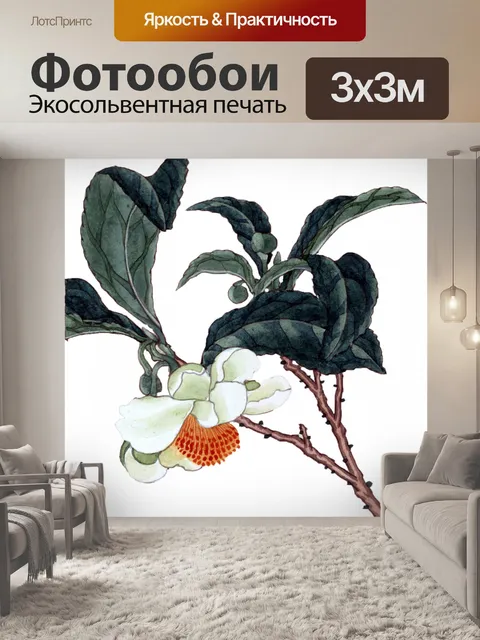 Фотообои Чайное дерево Blossom &amp; Листья