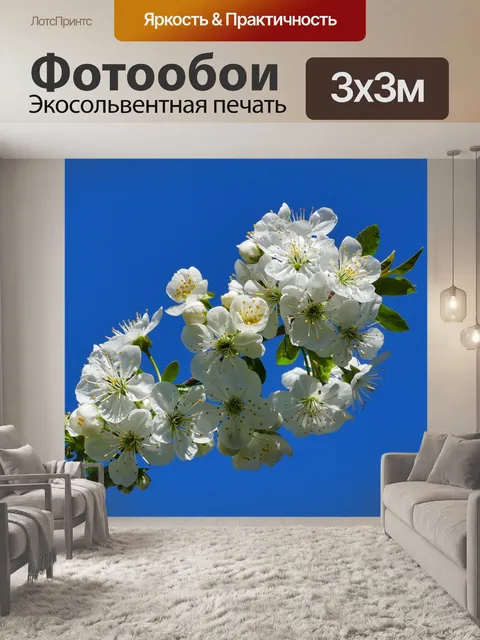Фотообои Вишня