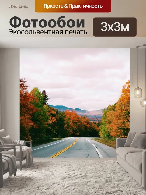 Фотообои Дорога