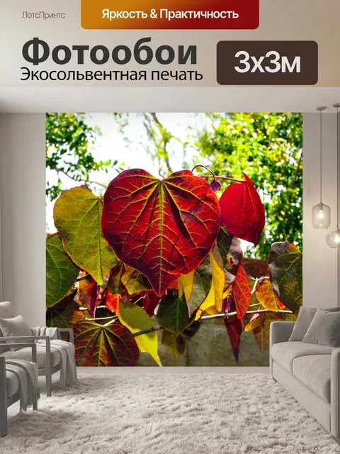 Фотообои Сердца