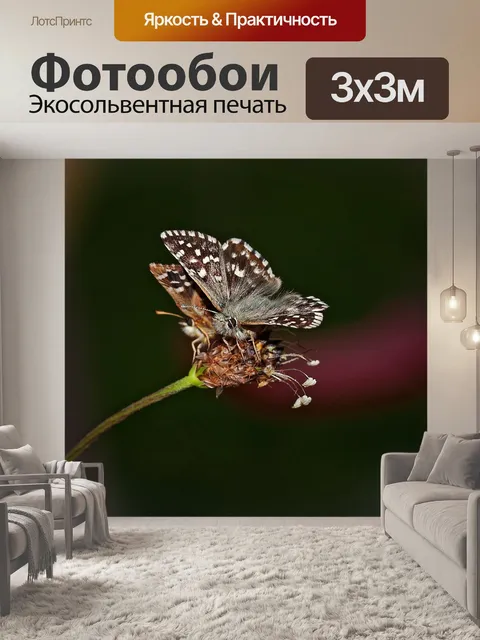 Фотообои Бабочки