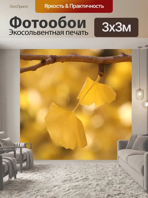 Фотообои Гинкго