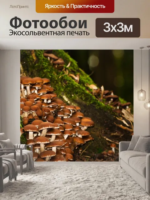 Фотообои Грибы
