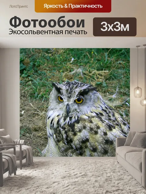 Фотообои Филин