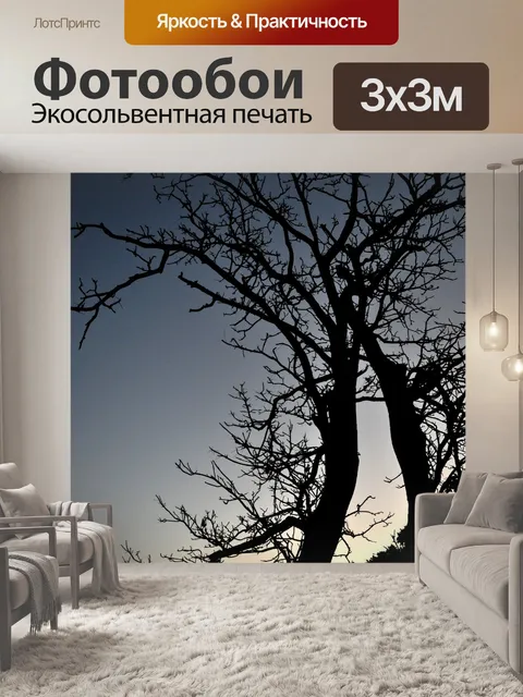 Фотообои Восход силуэт 2
