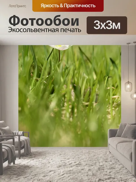 Фотообои Анемоны