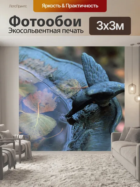 Фотообои Птица ванна