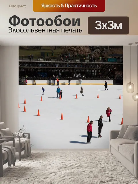 Фотообои Каток в Центральном парке