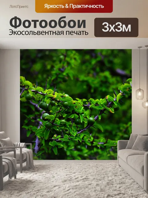 Фотообои Зеленый