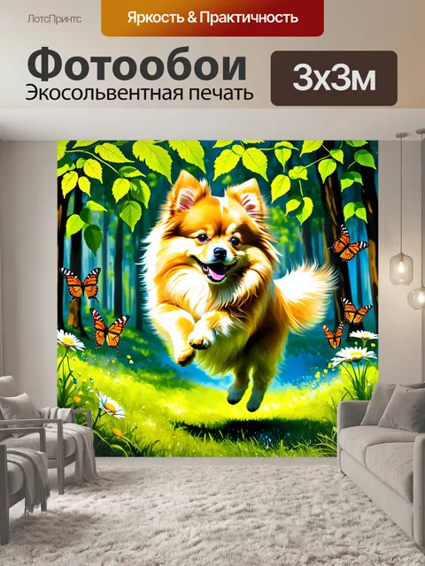 Фотообои динамичное изображение померанского шпица