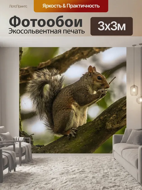 Фотообои Белка