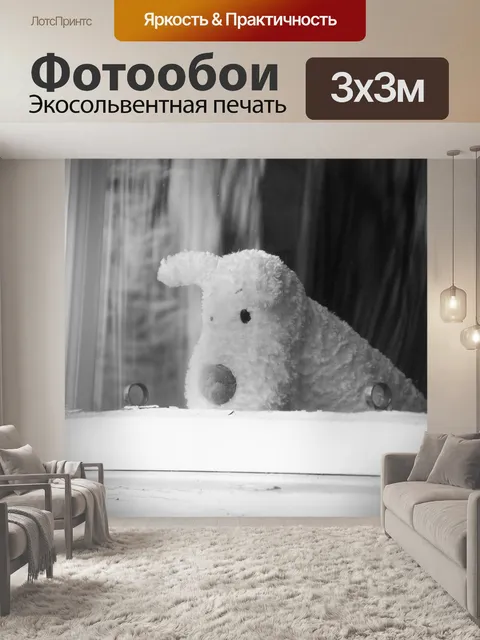 Фотообои Собака за окном