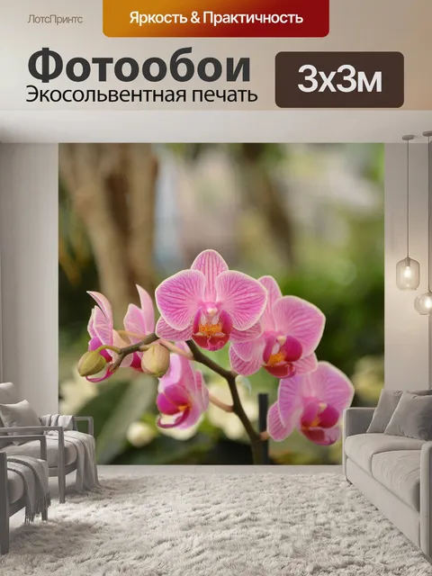 Фотообои Цветы орхидеи