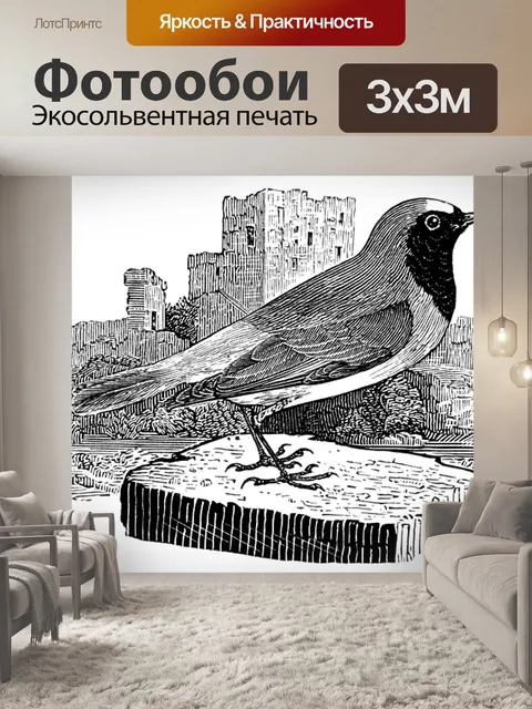Фотообои Горихвостка