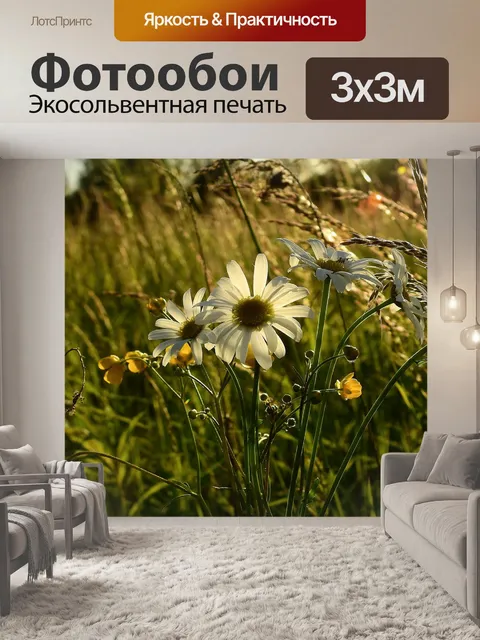 Фотообои Луг