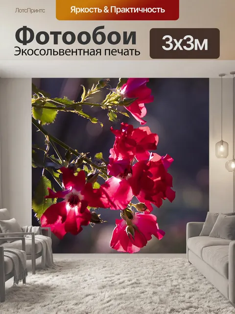 Фотообои Розы
