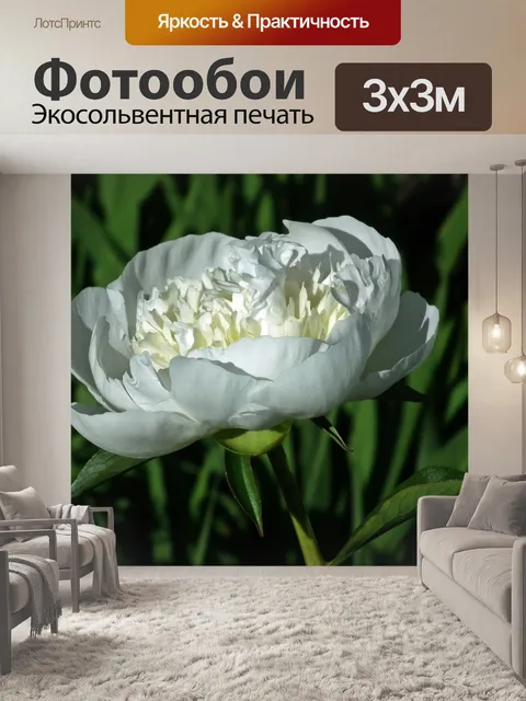 Фотообои Природа
