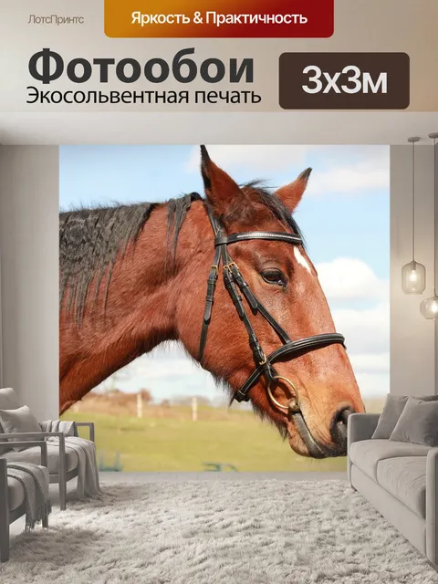 Фотообои Лошадь