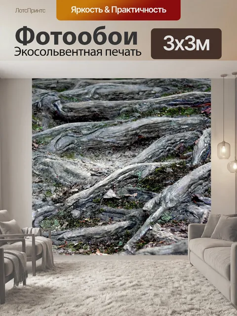 Фотообои Пальцевидные корней деревьев