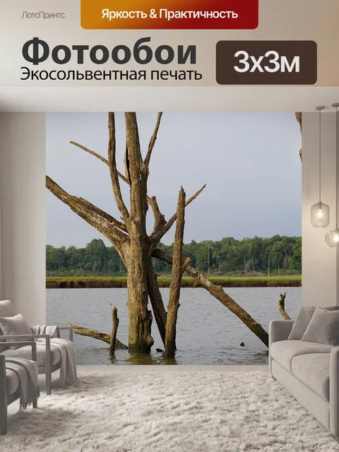 Фотообои Деревья в воде