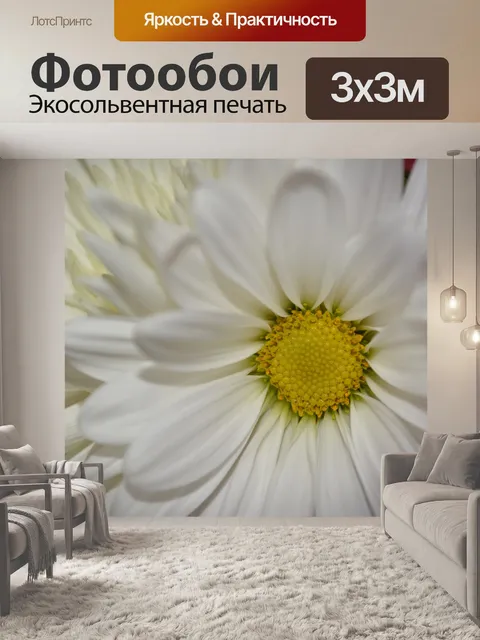 Фотообои Уайт Дейзи Цветет Цветы Макро