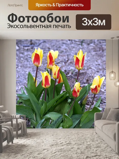 Фотообои Весна