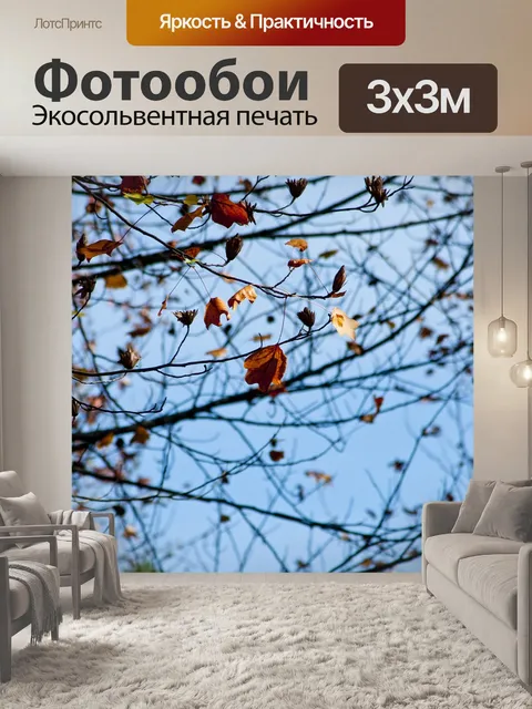 Фотообои Падение