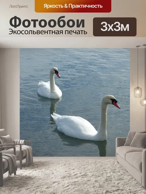 Фотообои Лебеди