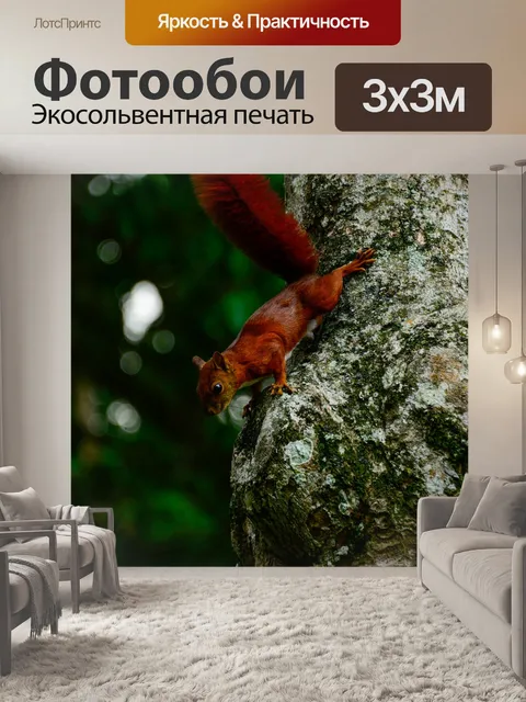 Фотообои Животное