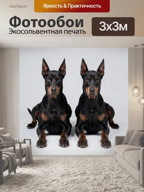 Фотообои Два добермана на светлом фоне