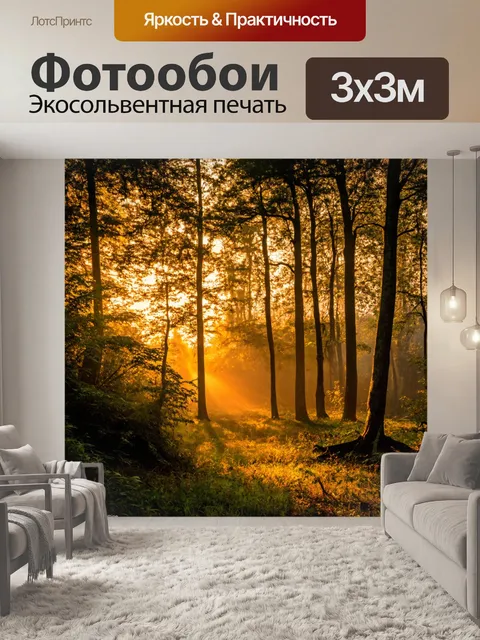 Фотообои вечерний лес с янтарным светом заката, освещающим листву