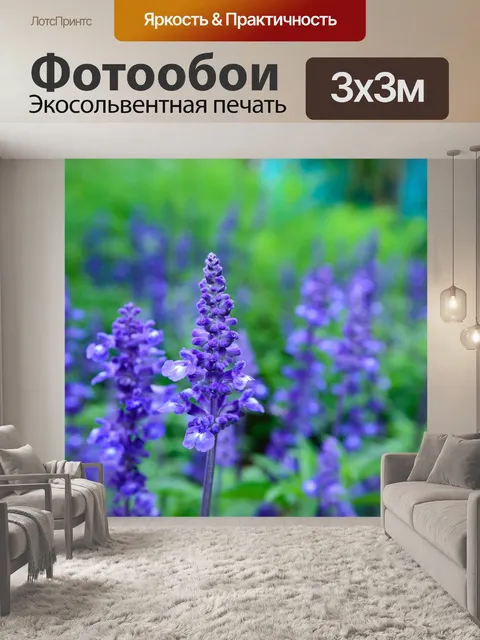 Фотообои Лаванда