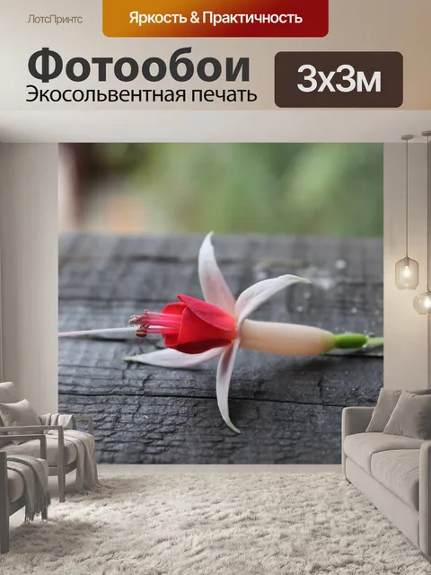 Фотообои Фуксия