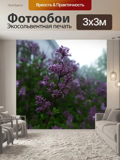 Фотообои Сеть