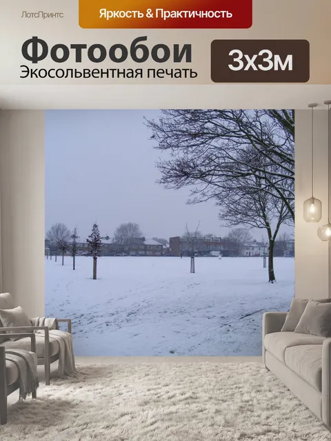 Фотообои Зелень, деревья, снег, пасмурно, 2