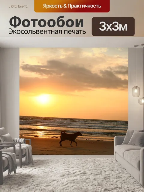 Фотообои Заход солнца