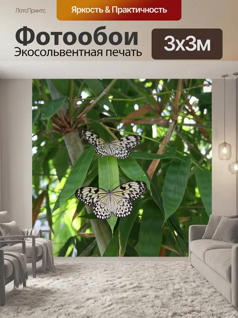 Фотообои Бабочка