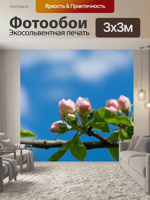 Фотообои Небеса