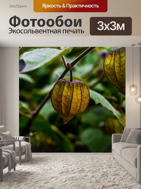 Фотообои Лист