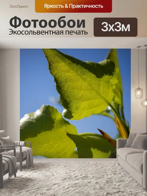 Фотообои Листья