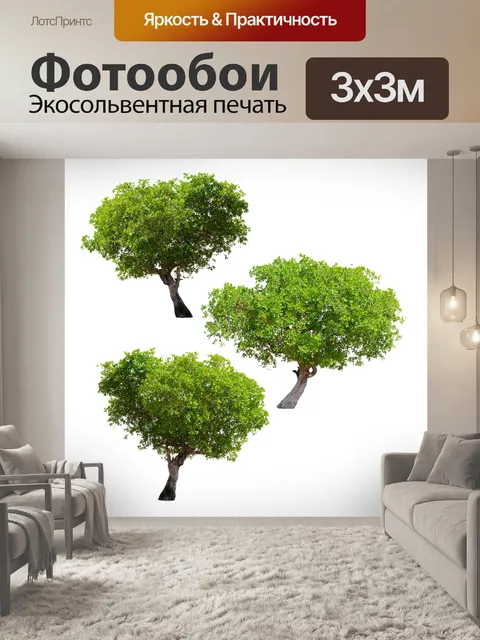 Фотообои Деревья