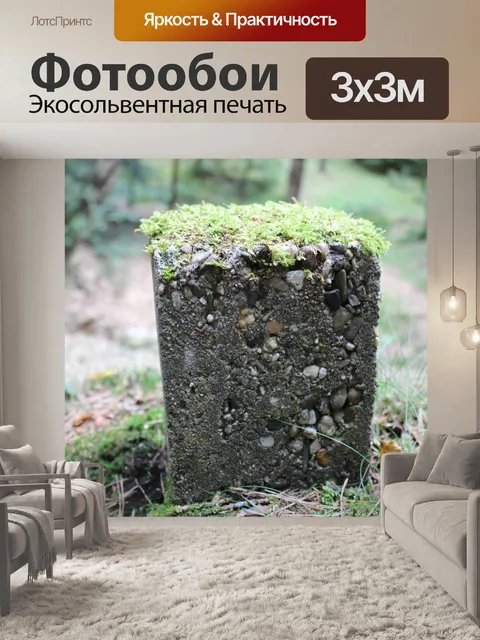 Фотообои Лес