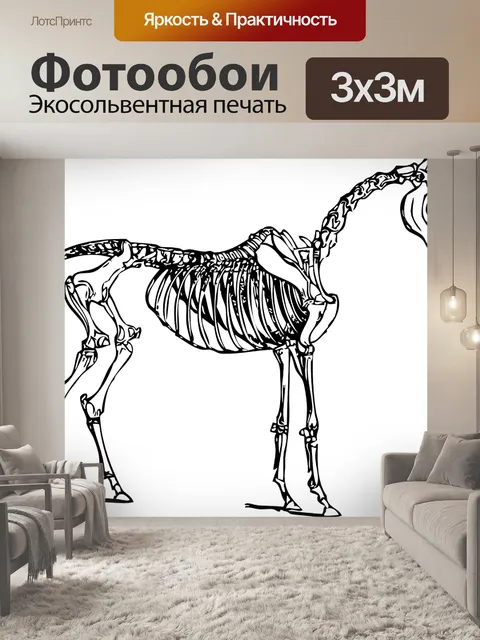 Фотообои Лошадь