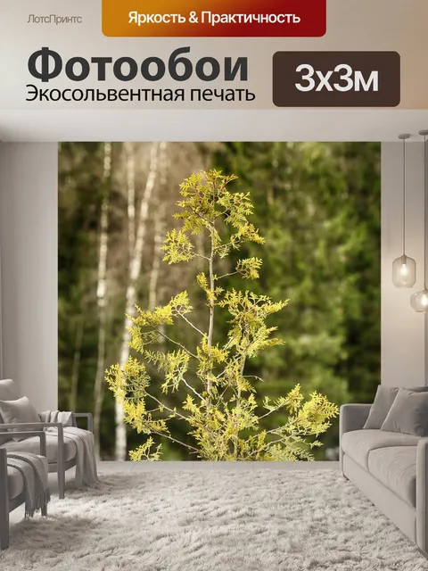 Фотообои Природа